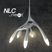 NLC by Next