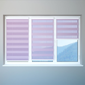 Blinds &quot;Day and Night&quot;