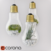 Light Bulb Terrarium