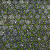Street Stone grass