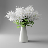 White butterfly in Vase