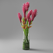 Red Ginger in Vase