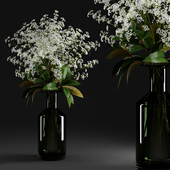 Gypsophila and magnolia leaves in bottle