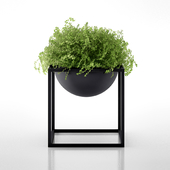 Kubus Black Bowl with clover by Lassen