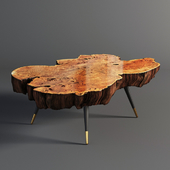 Wood slab coffee table