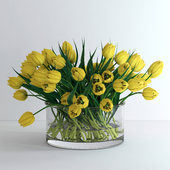 Yellow tulips/Жёлтые тюльпаны
