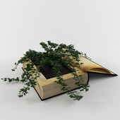 Plant in book