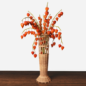 Vase with cape gooseberry
