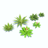 Tropical bushes low-poly