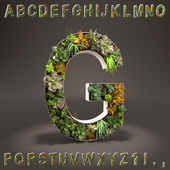 Alphabet made of sedum - alphabet from sedum
