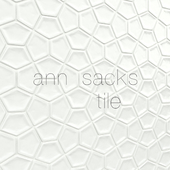 Conc Tiles Ann Sacks