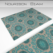 Carpet Nourison