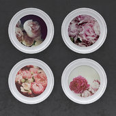 peonies picture