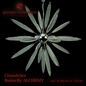 GIORGIO COLLECTION Butterfly Alchemy