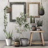 Decorative plant set