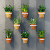 Clay pots with herbs on the wall
