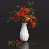 Rowan in a vase