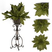 Uttermost_Costa del Sol, Potted Greenery
