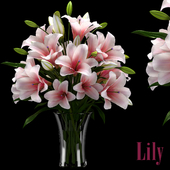 LILY 2