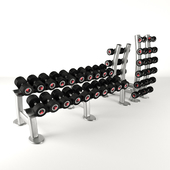 Set rack with weights from Life Fitness