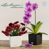 Умный вазон Lechuza Cube. Орхидея. Цветы