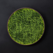 Moss wall disk