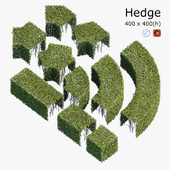 Hedge 4x4
