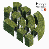 Hedge 4x8