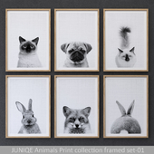 Animals Print collection framed set-01