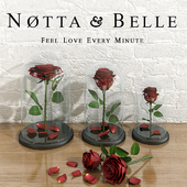 Roses Notta &amp; Belle