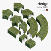 Hedge 6x4