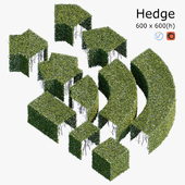 Hedge 6x6