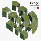 Hedge 6x8