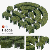 Hedge 3x3