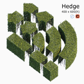 Hedge 4x6 (recharging)