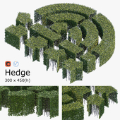 Hedge 3x4.5