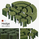 Hedge 3x6