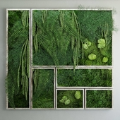 Moss and fern fytowall