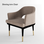 Dinning Arm Chair