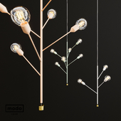 Fixture Baobab by Modo luce