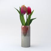 tulipinvaze