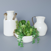 Set of ceramic dishes and plants Echeveria