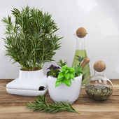 Decor with spicy herbs - rosemary
