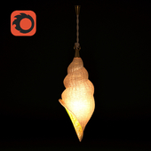 Lamp-shell