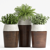 PLANT SET -84