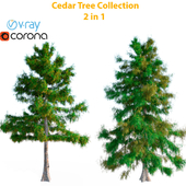 Cedar. A set of models. (2 models)
