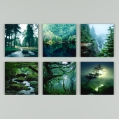 Forest_set_1