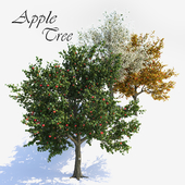 Apple Tree 1