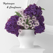 Hydrangea Purpurea and Cornflowers