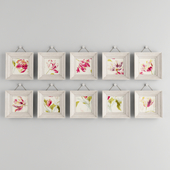 Collection of Floral Paintings with Frame - 01